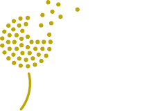 Channel Talent – Interactive school webinars